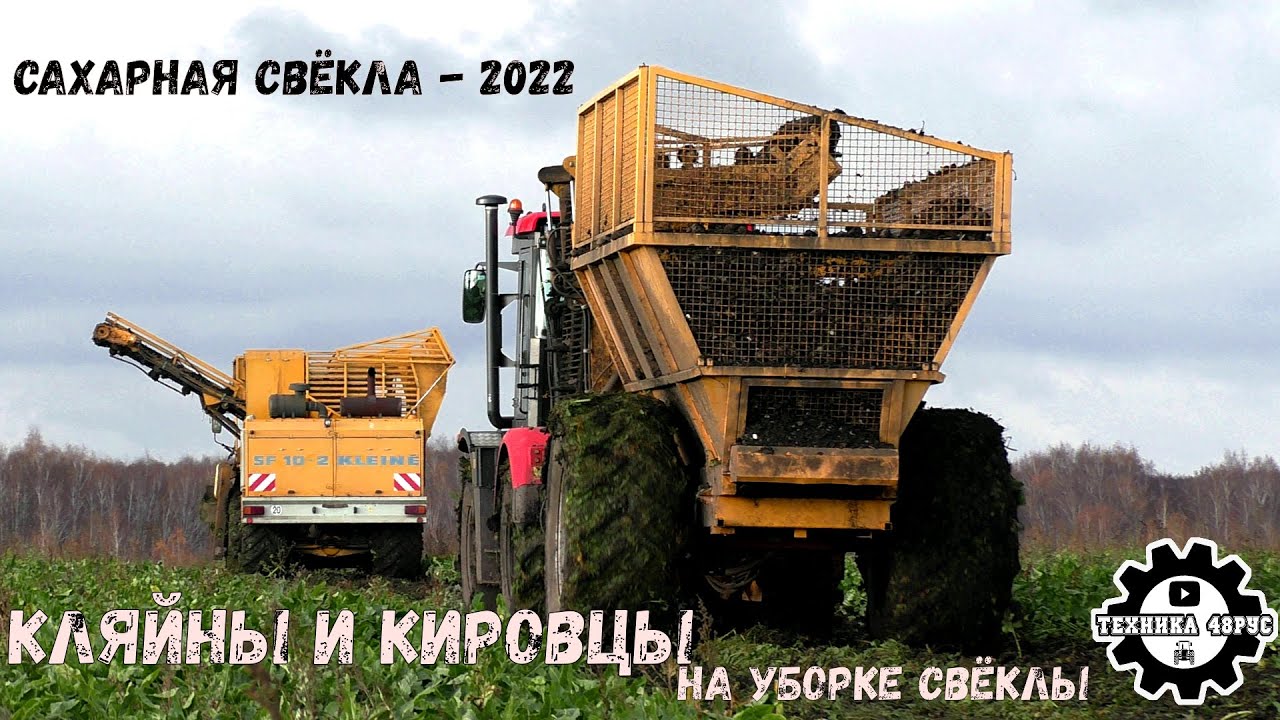 Комбайн Kleine SF-10 и маленькие Кировцы на уборке сахарной свёклы. Липецкая область, 2022 год