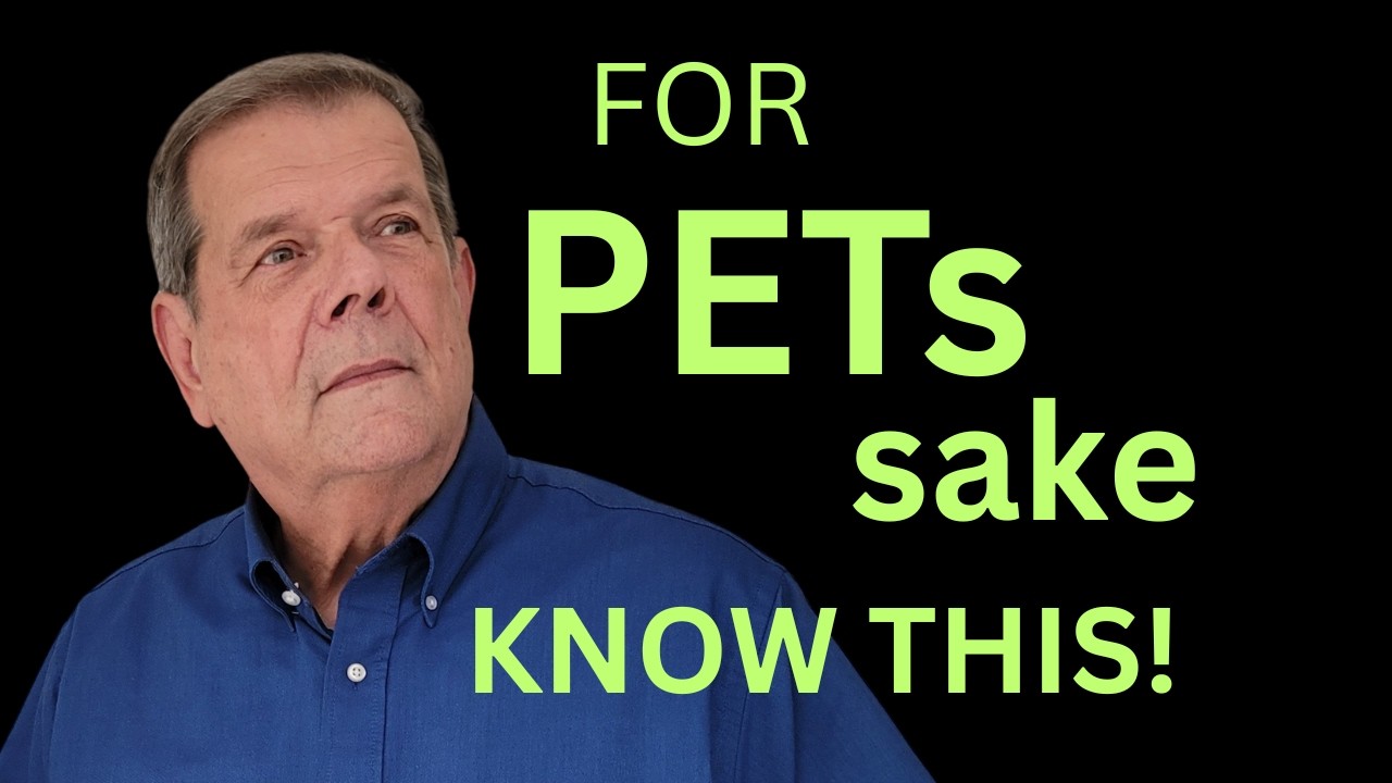 When is it the right time to get another pet?  Is it wrong?  What should I do?