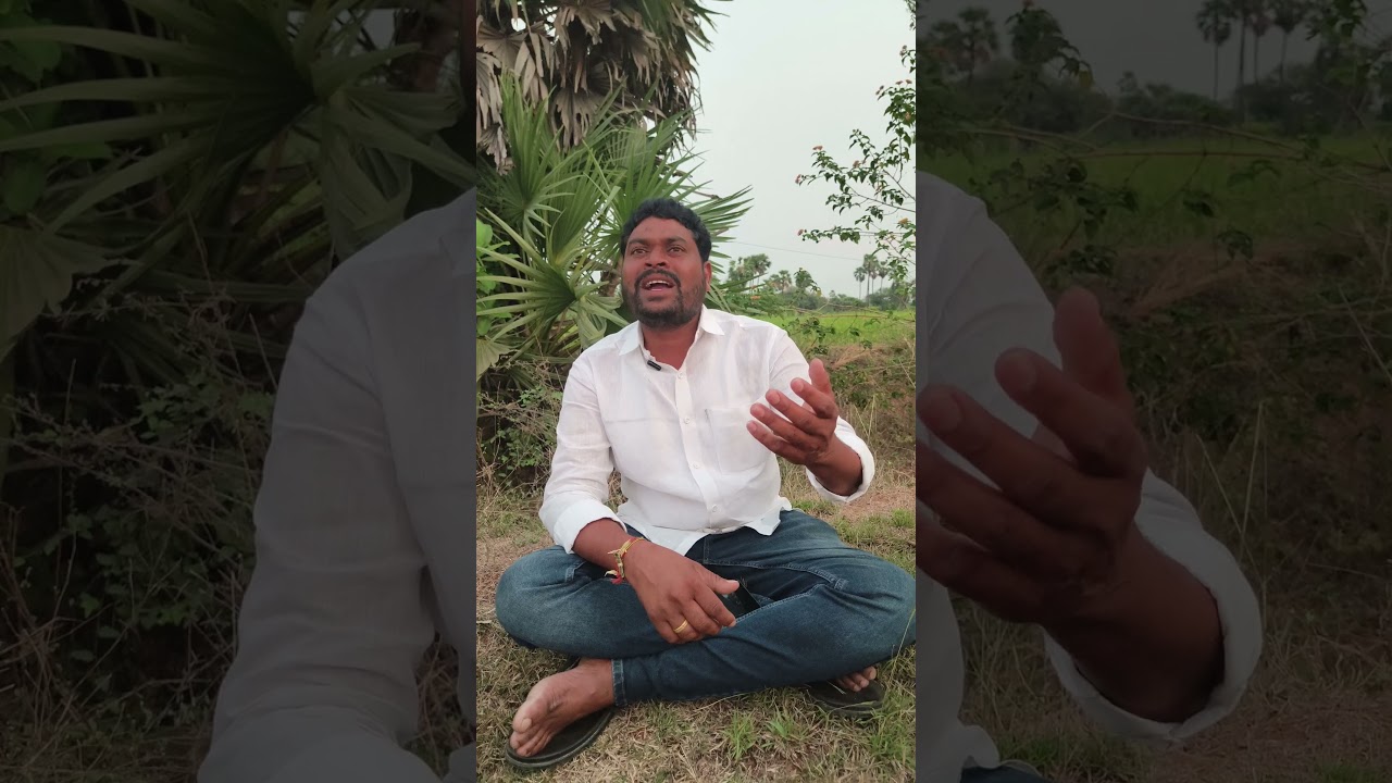 #newfolksongs #2025folksongs #shekharddm #janapadalu #pallepatalu #privatesongs