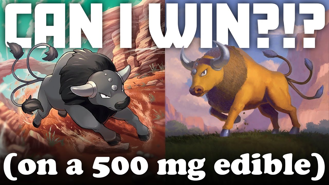 Can We Win a CASH Tournament with TAUROS on a 500 mg Edible?!? ¡Majors Practice! (Pokémon TCG Live)