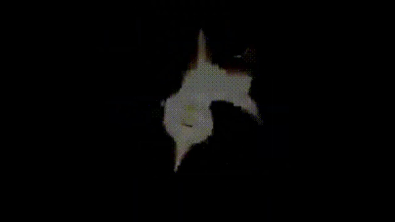 Car's Little Song [Instrumental] | But I Extended It For About 15 Minutes (ft. Bouncing Car)