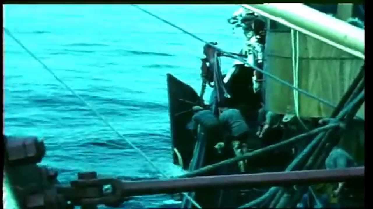 Final Trawl