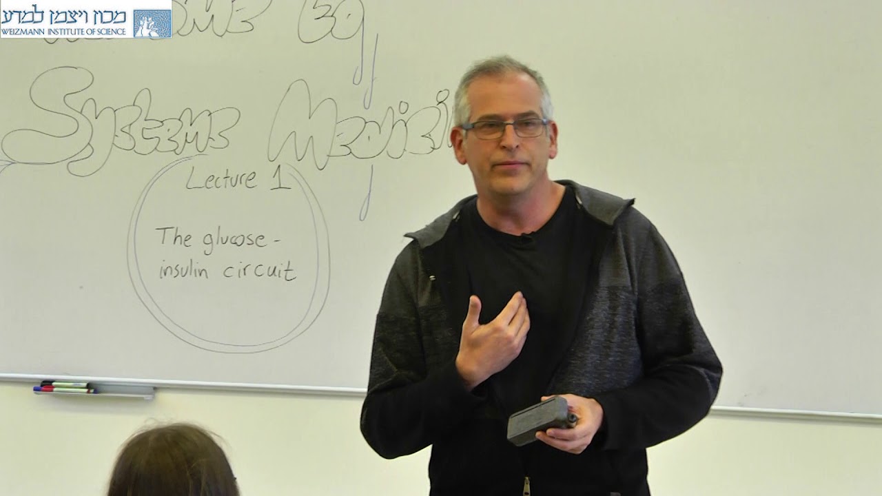 Systems Medicine  2019 Lecture 1- The lnsulin-glucose circuit