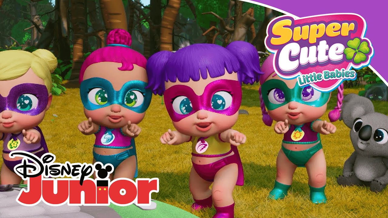 Super Cute Little Babies: El koala sin casa | Disney Junior Oficial