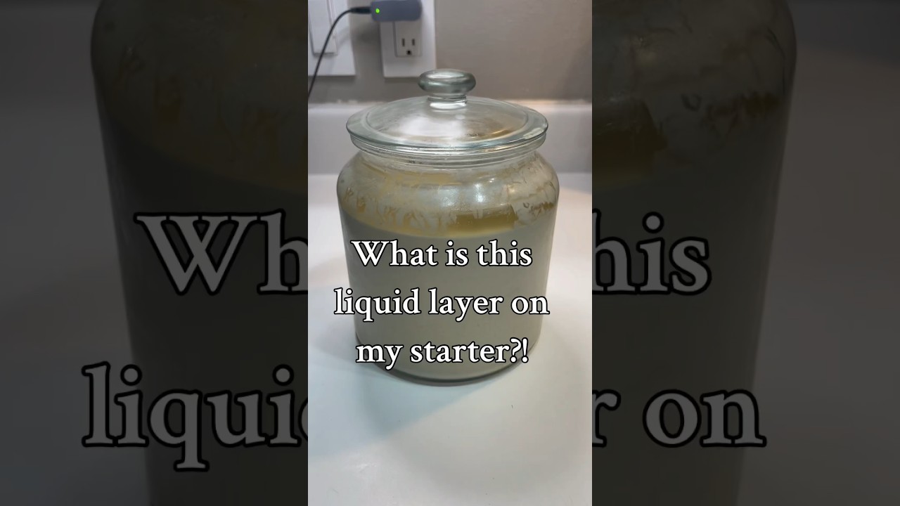 #sourdoughstarter #hooch #sourdoughbread #sourdoughrecipe #sourdough