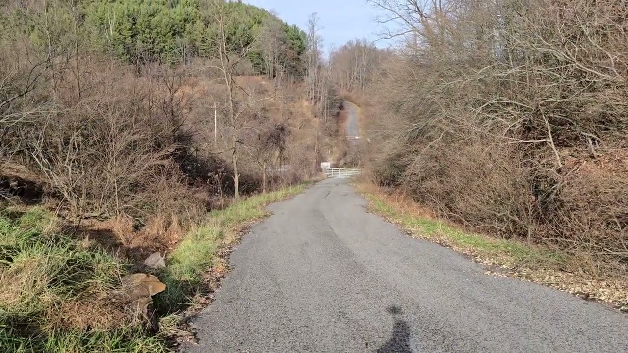 Lost Road