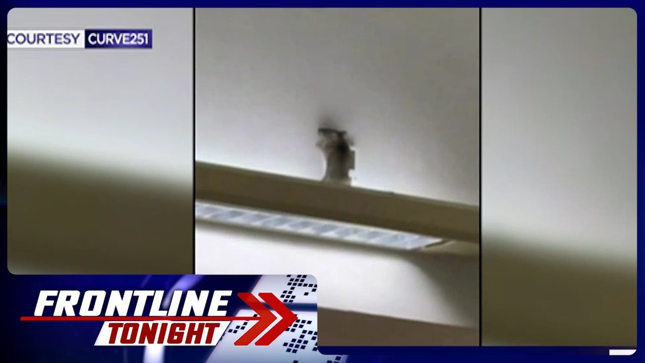 Daga at mga surot, naispatan sa departure at arrival area sa mga NAIA terminal | Frontline Tonight