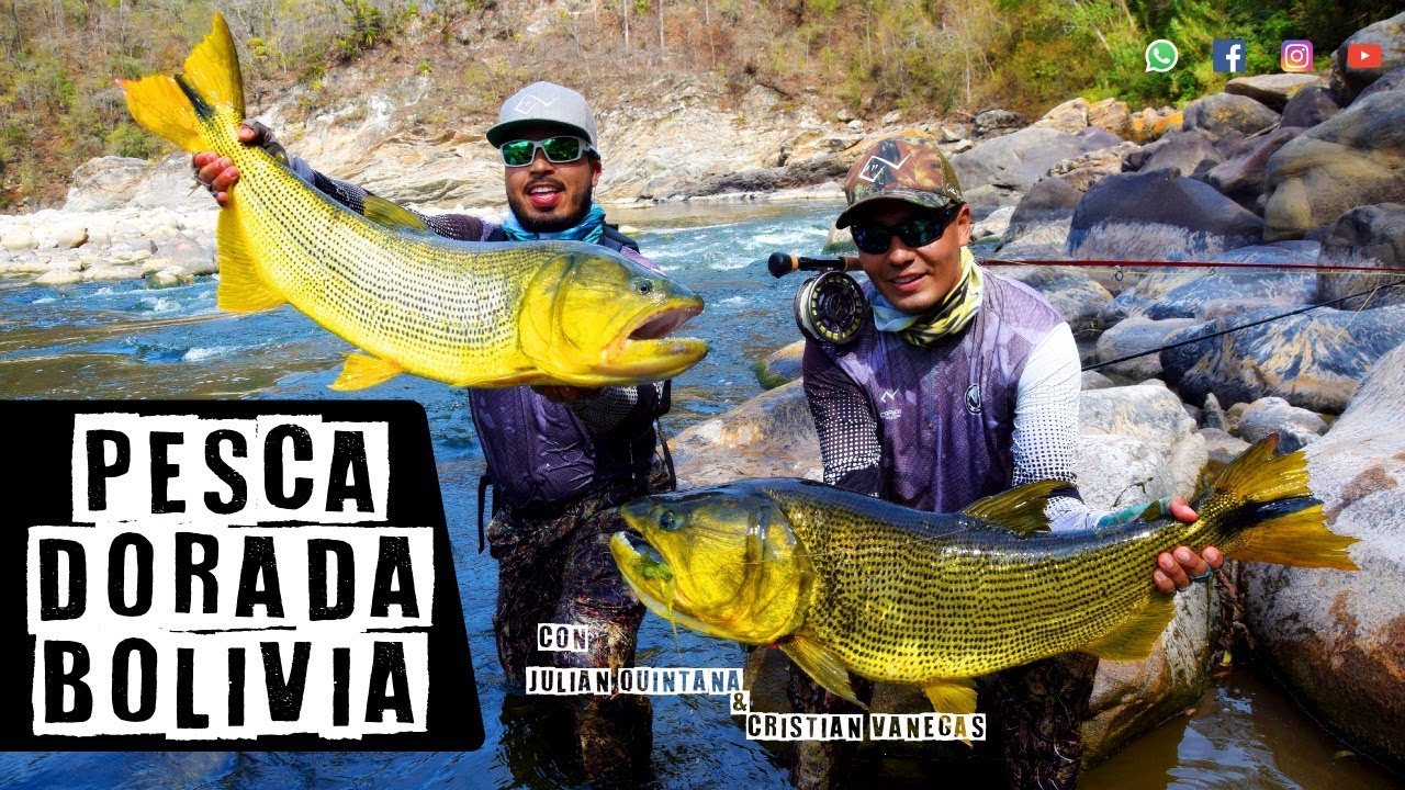Explosion Dorada Bolivia 2018.