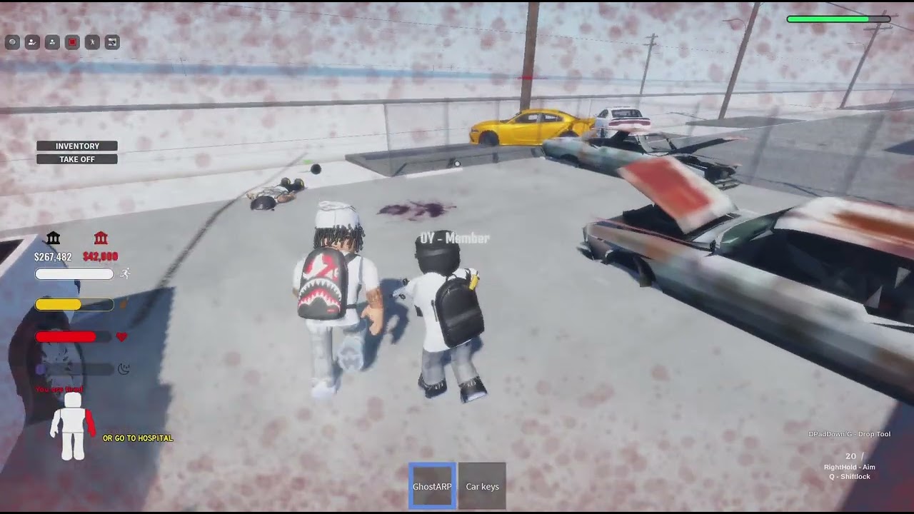 Roblox_20260131211657