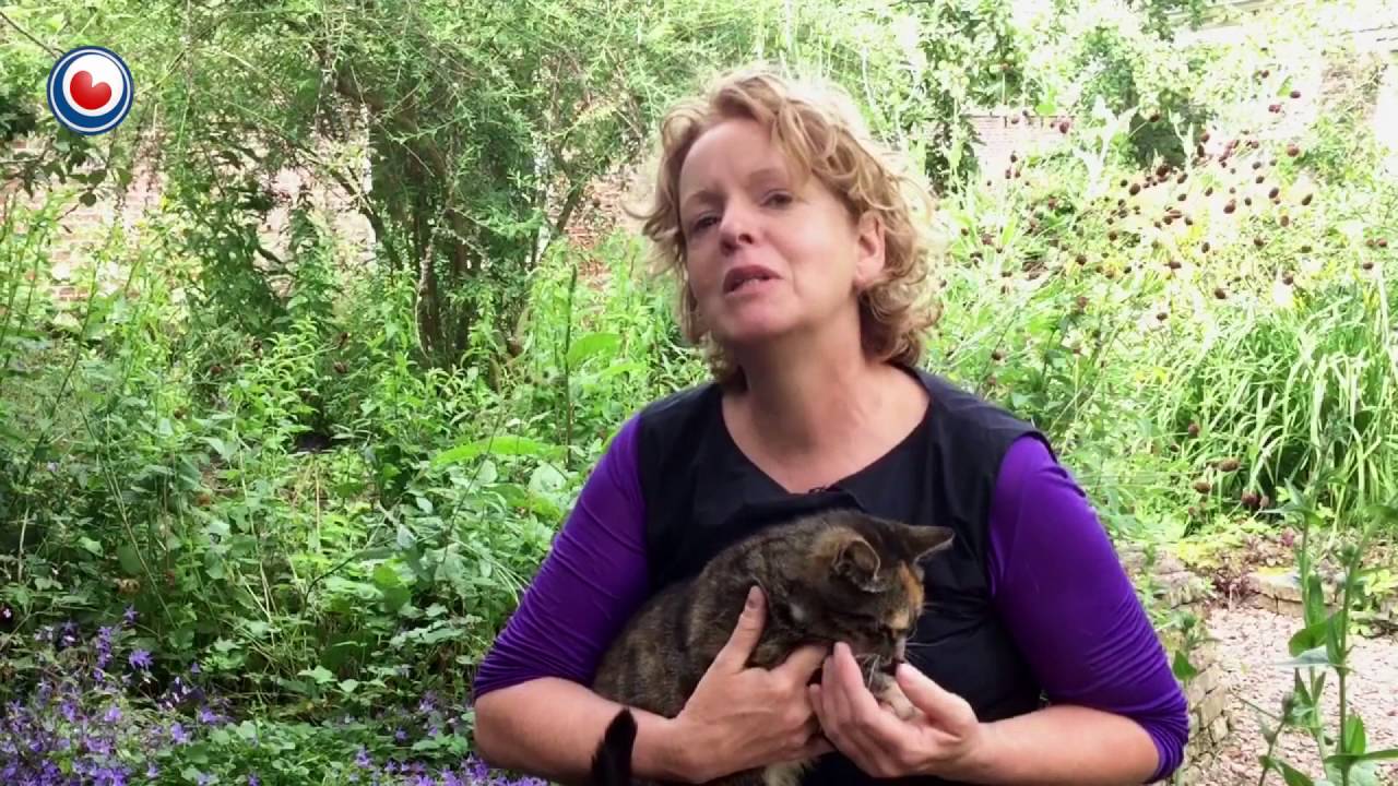 Nieuwe naam voor Studio Claudy Jongstra