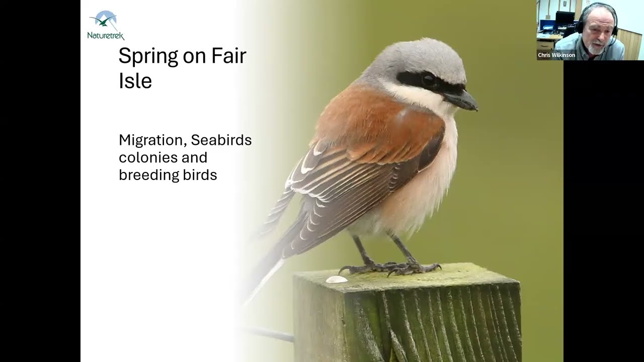 Naturetrek Roadshow: The Great British Bird Race and Fair Isle