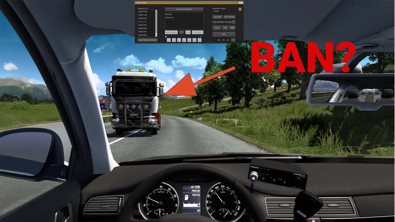 This undercover patrol went HORRIBLY WRONG | TruckersMP Moderations