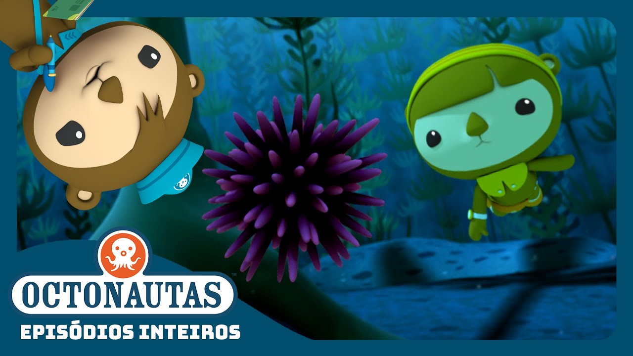 Octonautas - 🦦 A Invas&atilde;o dos Ouri&ccedil;os 🪸 | Temporada 3 | Epis&oacute;dios inteiros