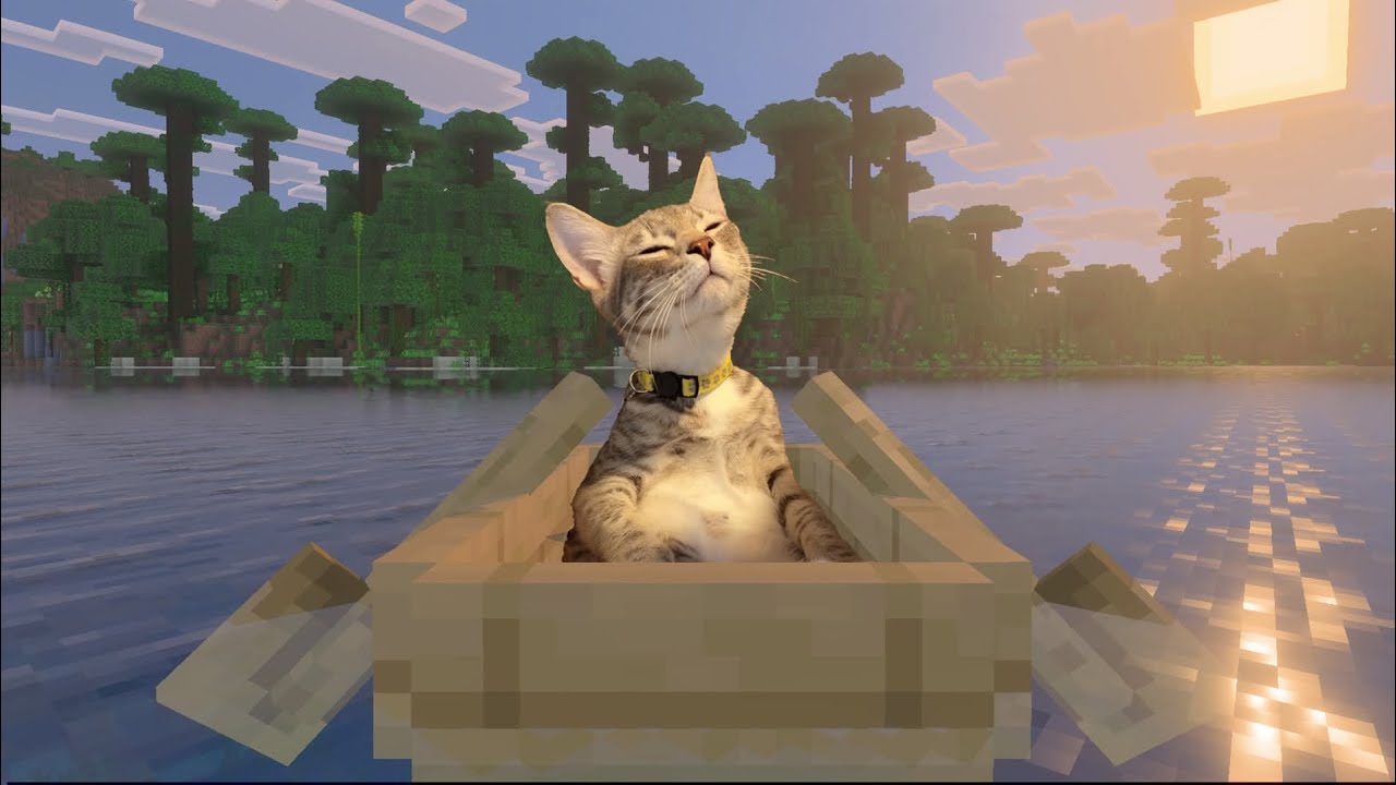 Ollies más sólidos sin tanta altura , un shove it a medias y kickflips que no salen 