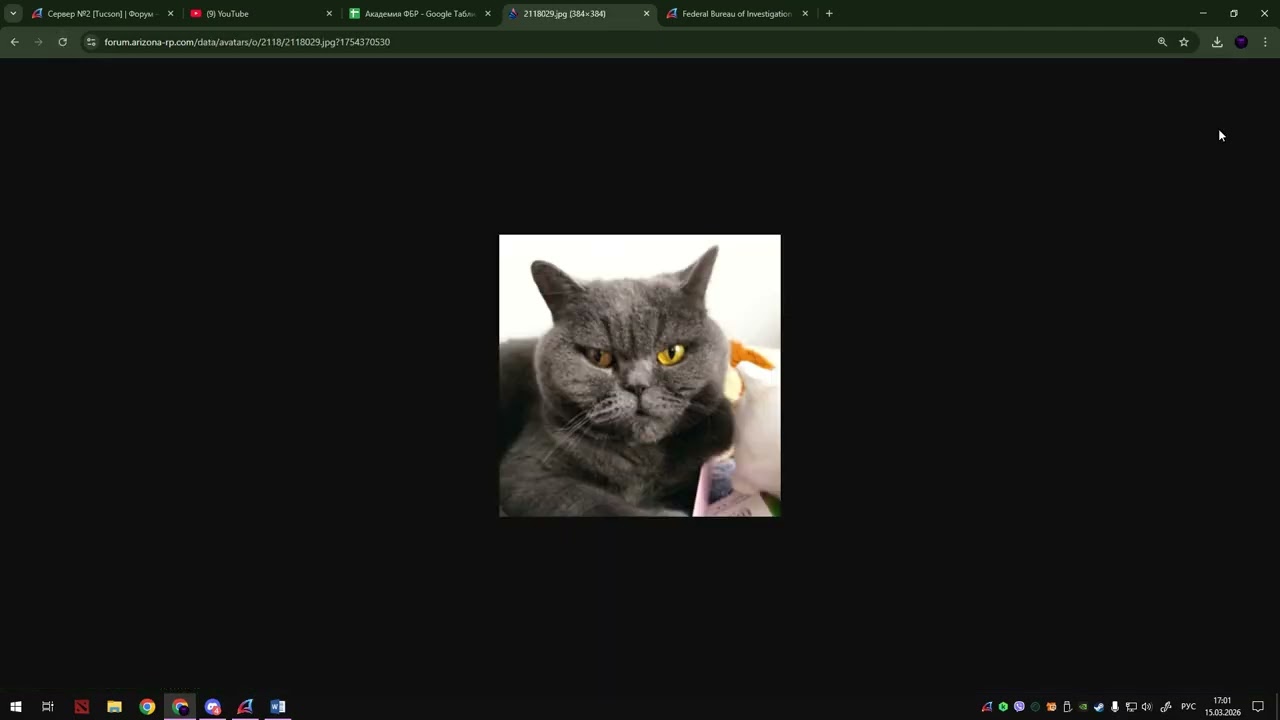 Desktop 2026 03 15   16 53 45 02