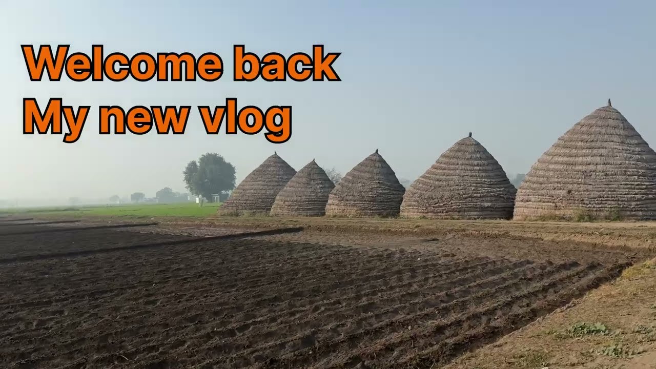ਅੱਜ Shehar Vich Ghoomn Aaya 🔥#punjabivlogs#punjabivibes#desivlog#punjabiyoutuber#dailyvlog#video 