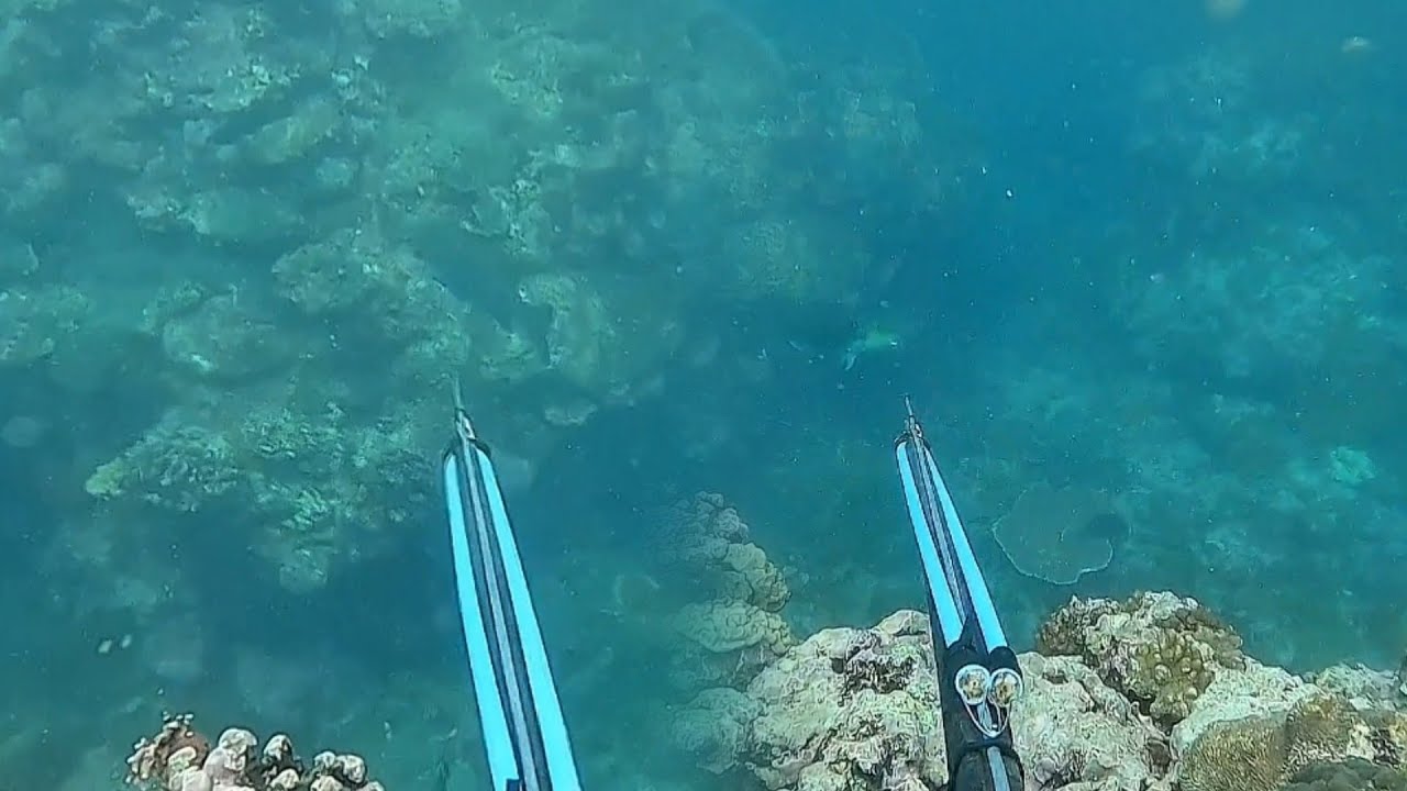Salamat at Naka panisid kahit may lakas pa ang amihan 💪🤩