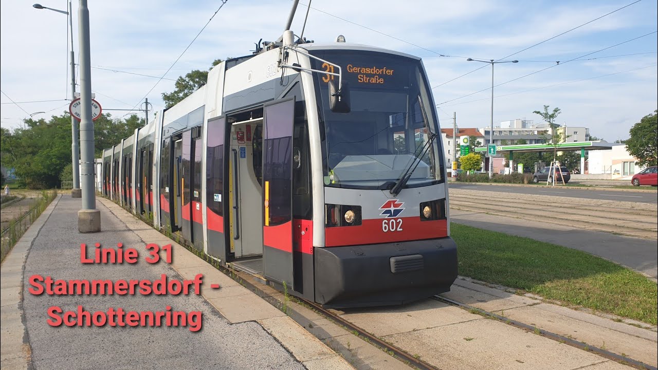 Wien Linie 31 Stammersdorf - Schottenring (ULF)