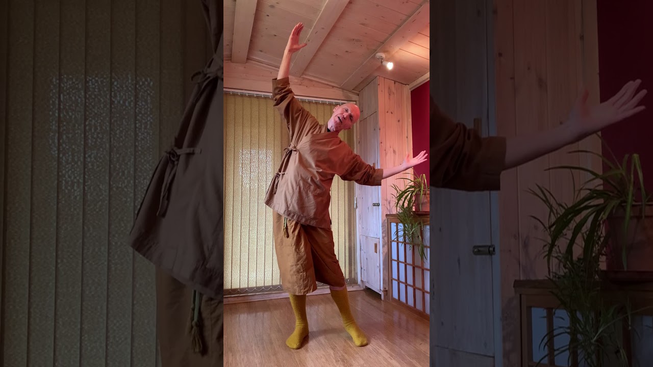Qi Gong #4 (17th Dec 2020, PM)