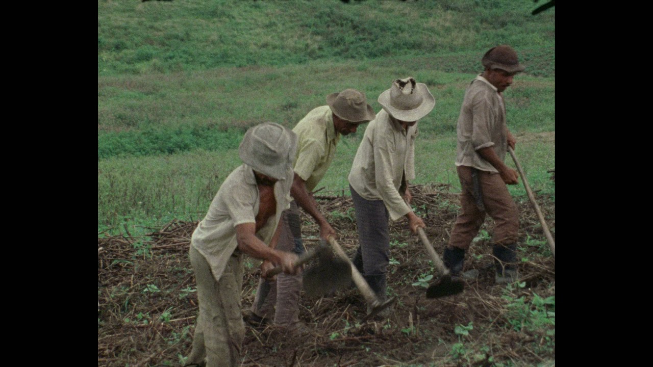 Cantos de Trabalho. Mutirão (1974, dir. Leon Hirszman)