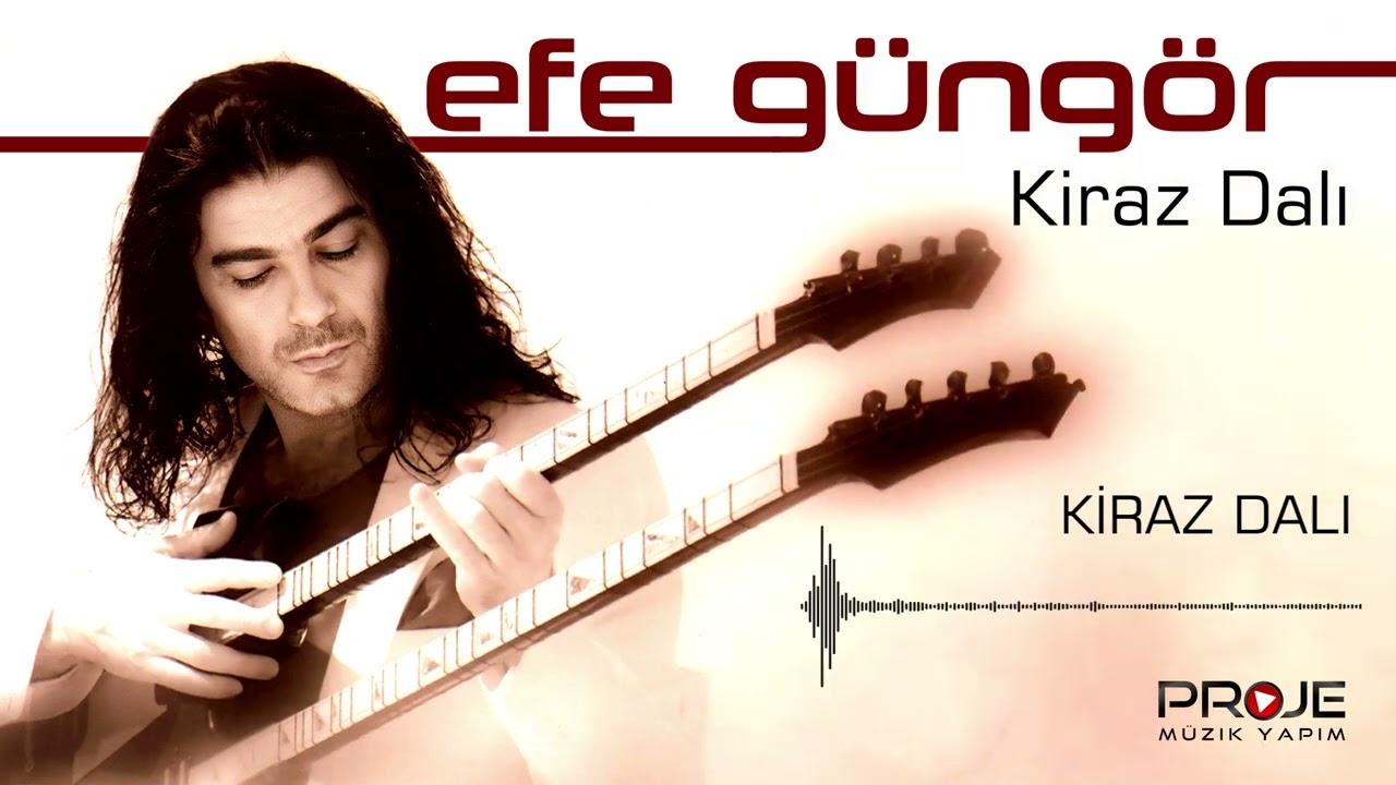 Efe Güngör  /  Kiraz  Dalı