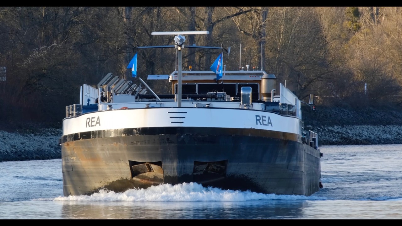 #224 Shipspotting: Binnenschiffe auf dem Rhein / Fast 100 Jahre alt: Schiff TMS Rea (Baujahr 1927)