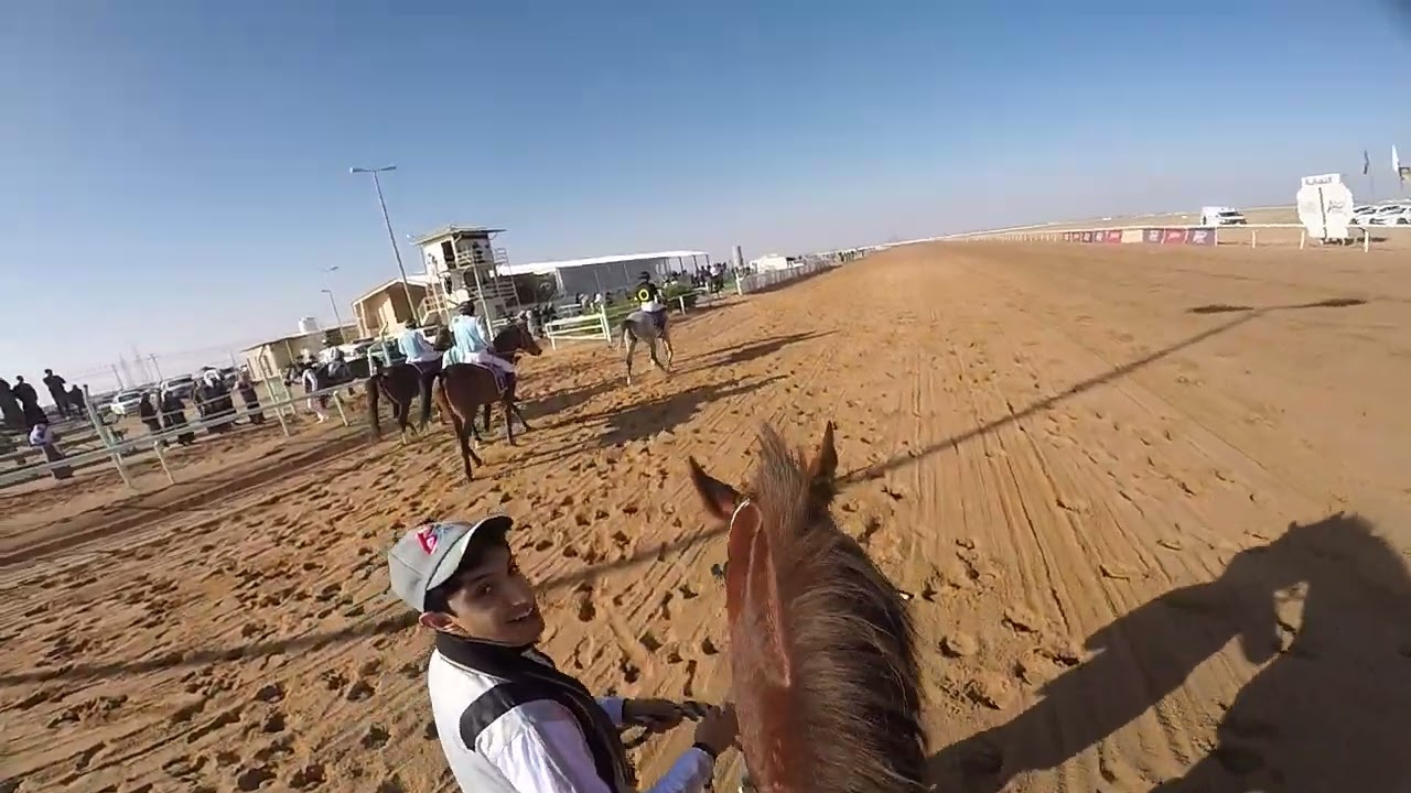 مكسب الحصان طي المشنا من ميدان حايل المسافه 8 F خالد الرويشد 18/ 6/ 1444ه‍