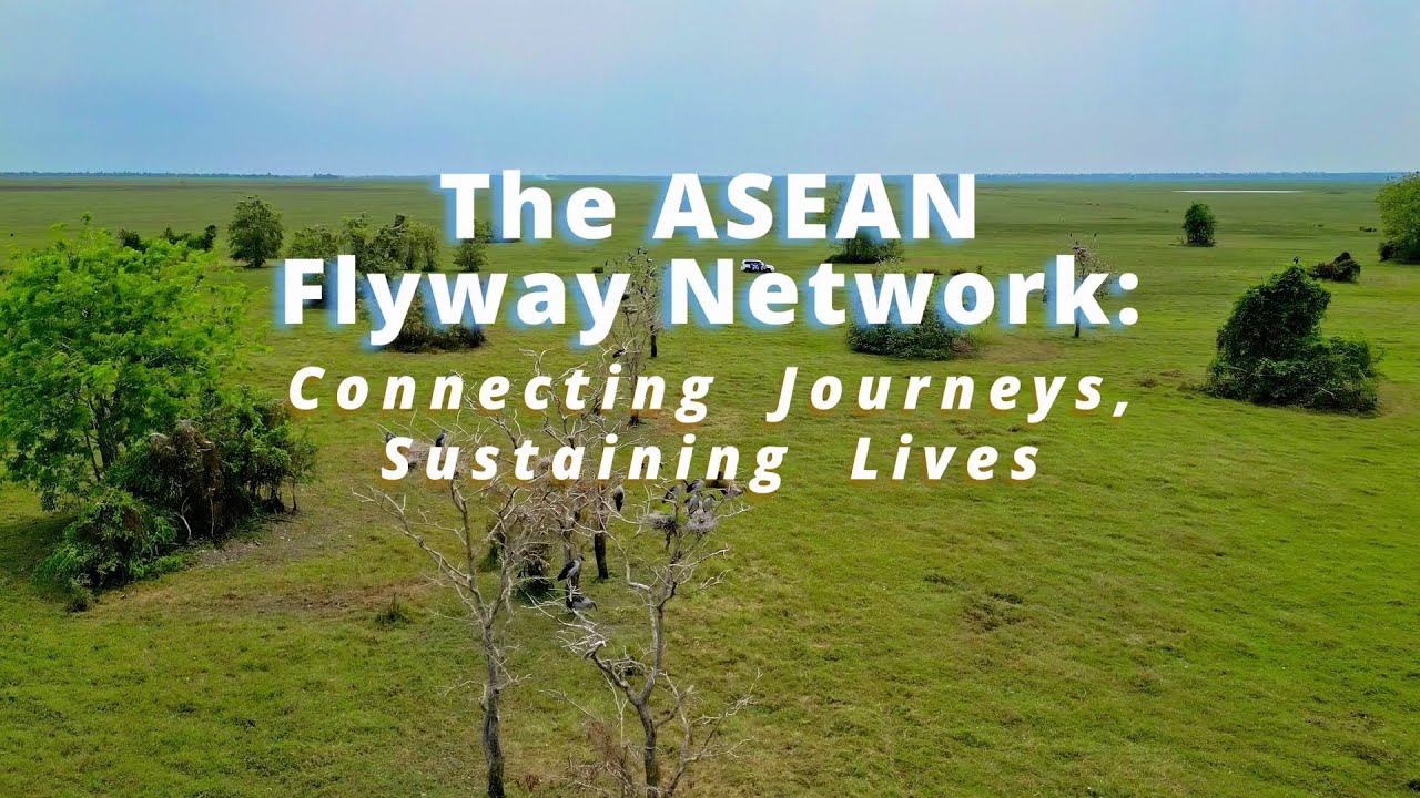 ASEAN Flyway Network