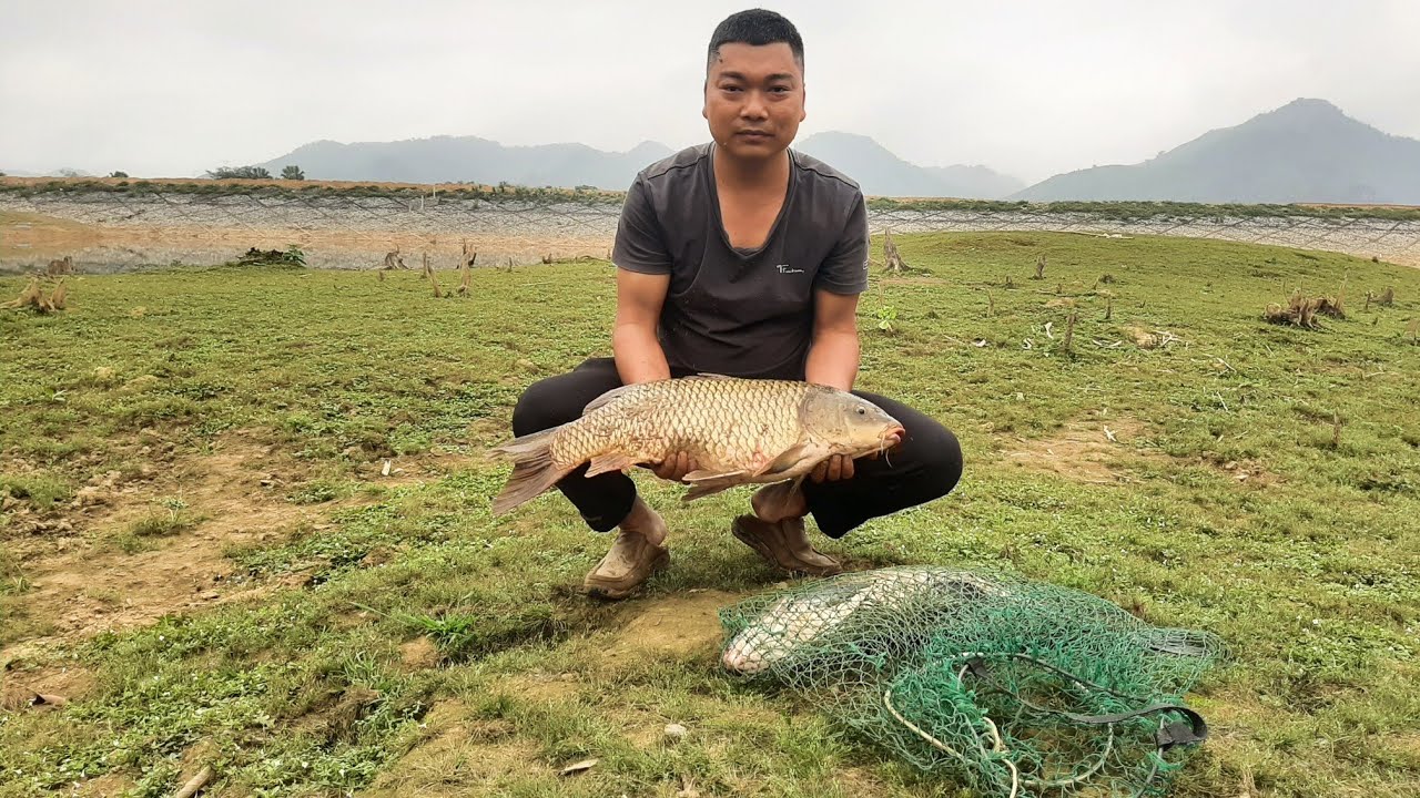 CÂU LỤC ,cận cảnh Chép cụ tự nhiên bềnh phao