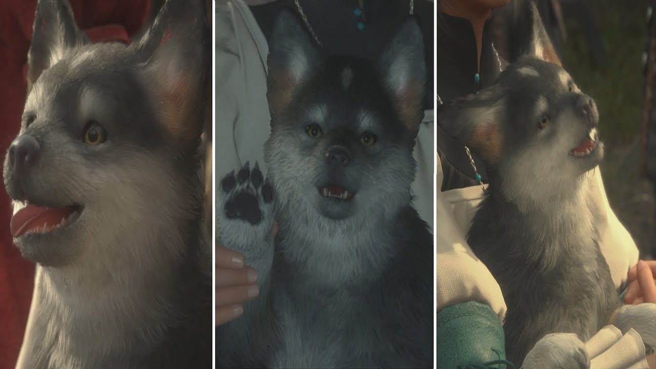 Final Fantasy 16 - Puppy Torgal