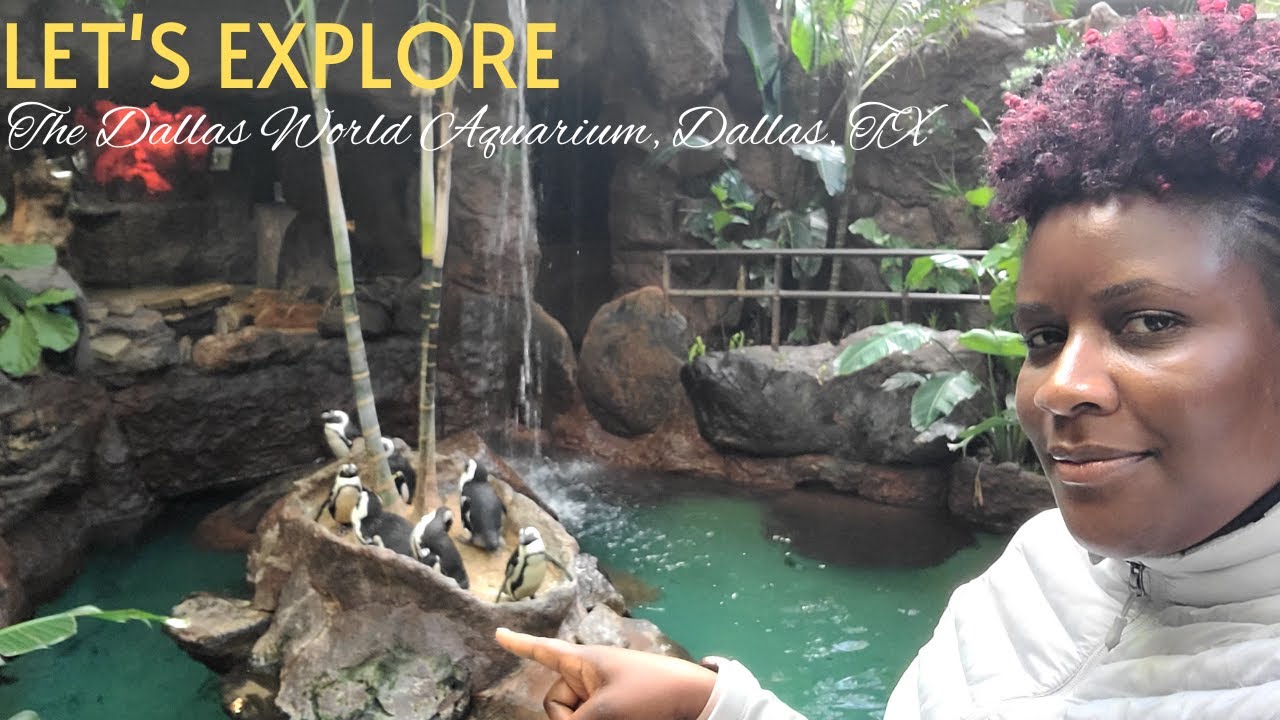 Let's Explore The Dallas World Aquarium, Dallas, TX