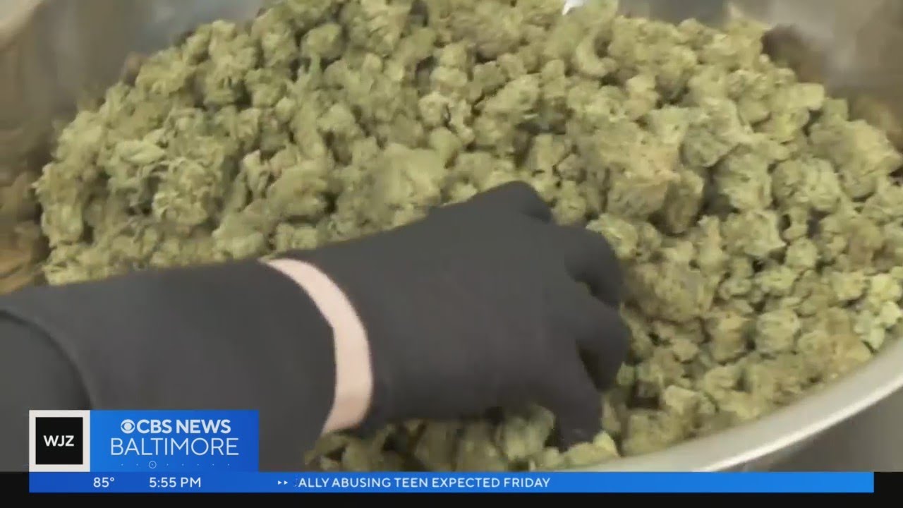 Maryland weed dispensaries have 'high' expectations ahead of recreational marijuana legalization