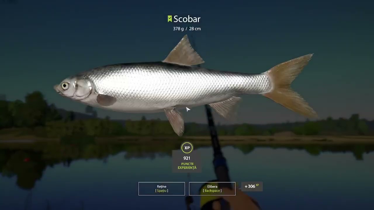 Russian fishing 4 - Awesome drill