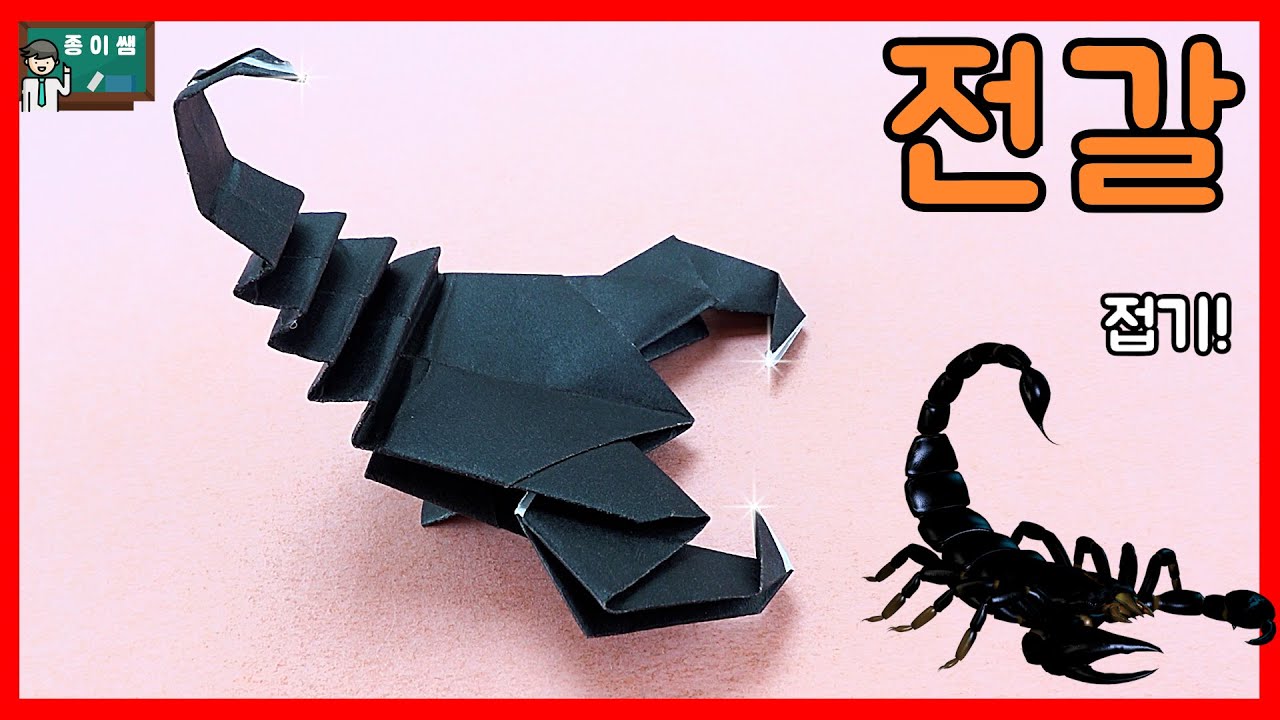 [종이접기] 무시무시한 독침!!! 전갈 접기!