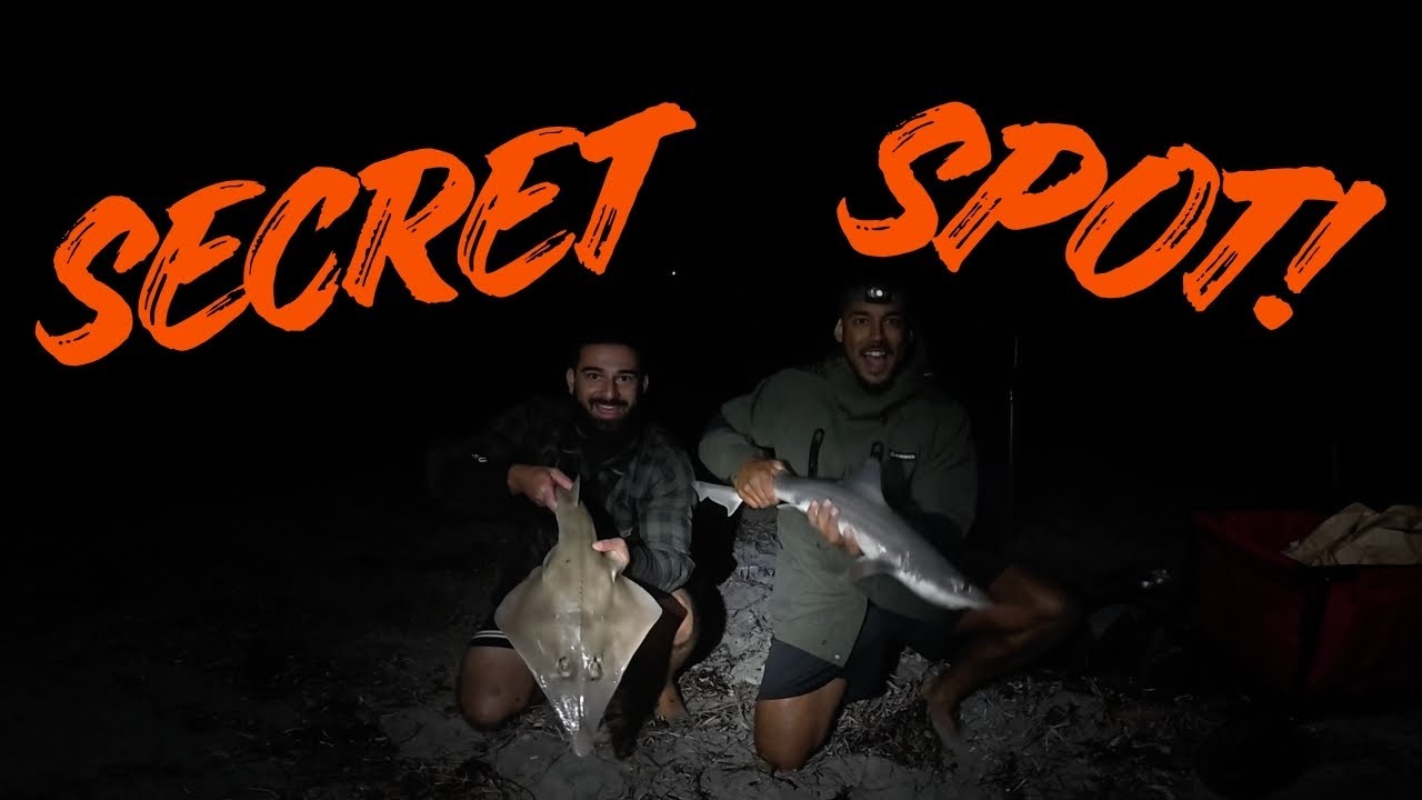 Busy Night Fishing - Secret Spot, Perth!