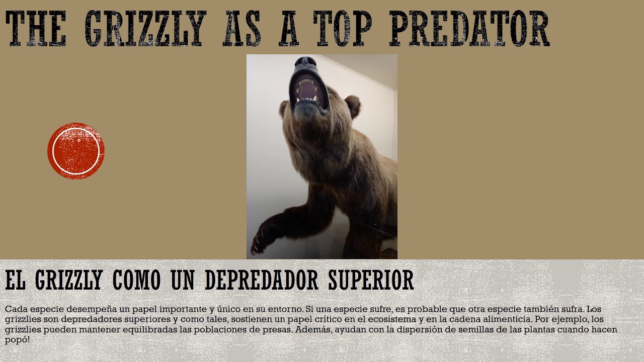 The California Grizzly