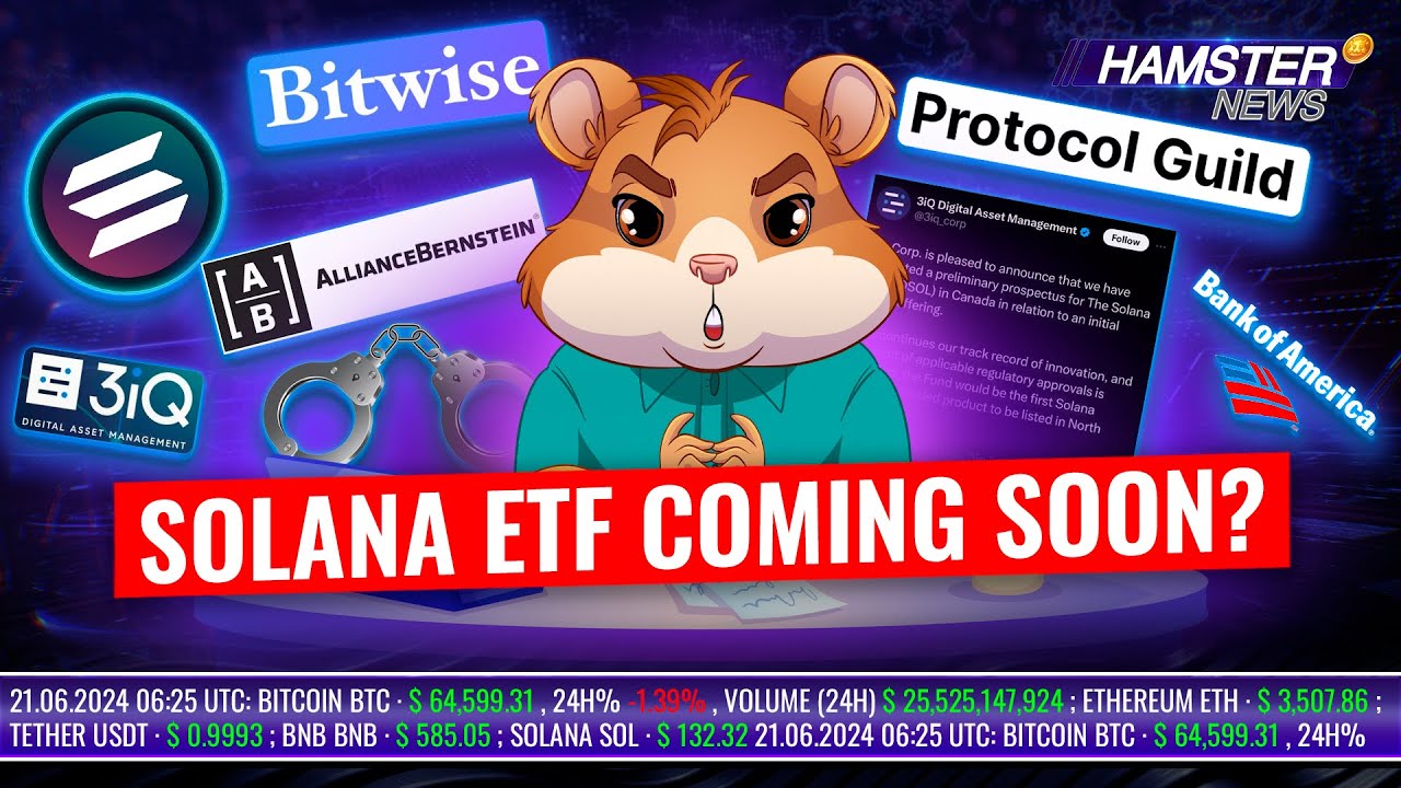 Одобрение Solana ETF, предсказание биткоина на $1M, нелегальная криптовалютная биржа | Hamster News