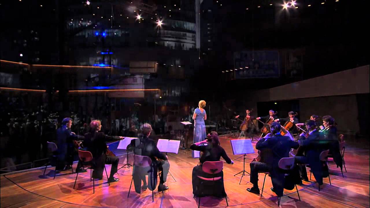 The 12 Cellists - Documentary and Concert