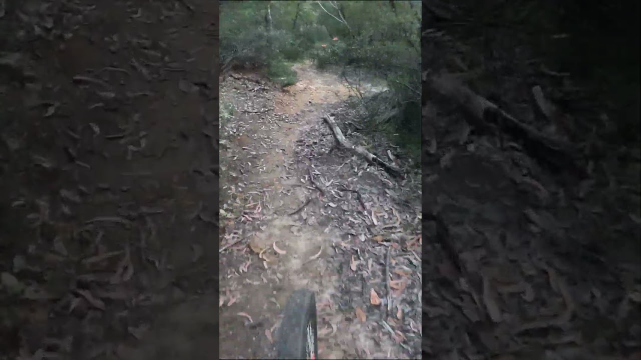 Knapsack MTB Trails Towards Jumpline } #twlbj #knapsack #shorts #short