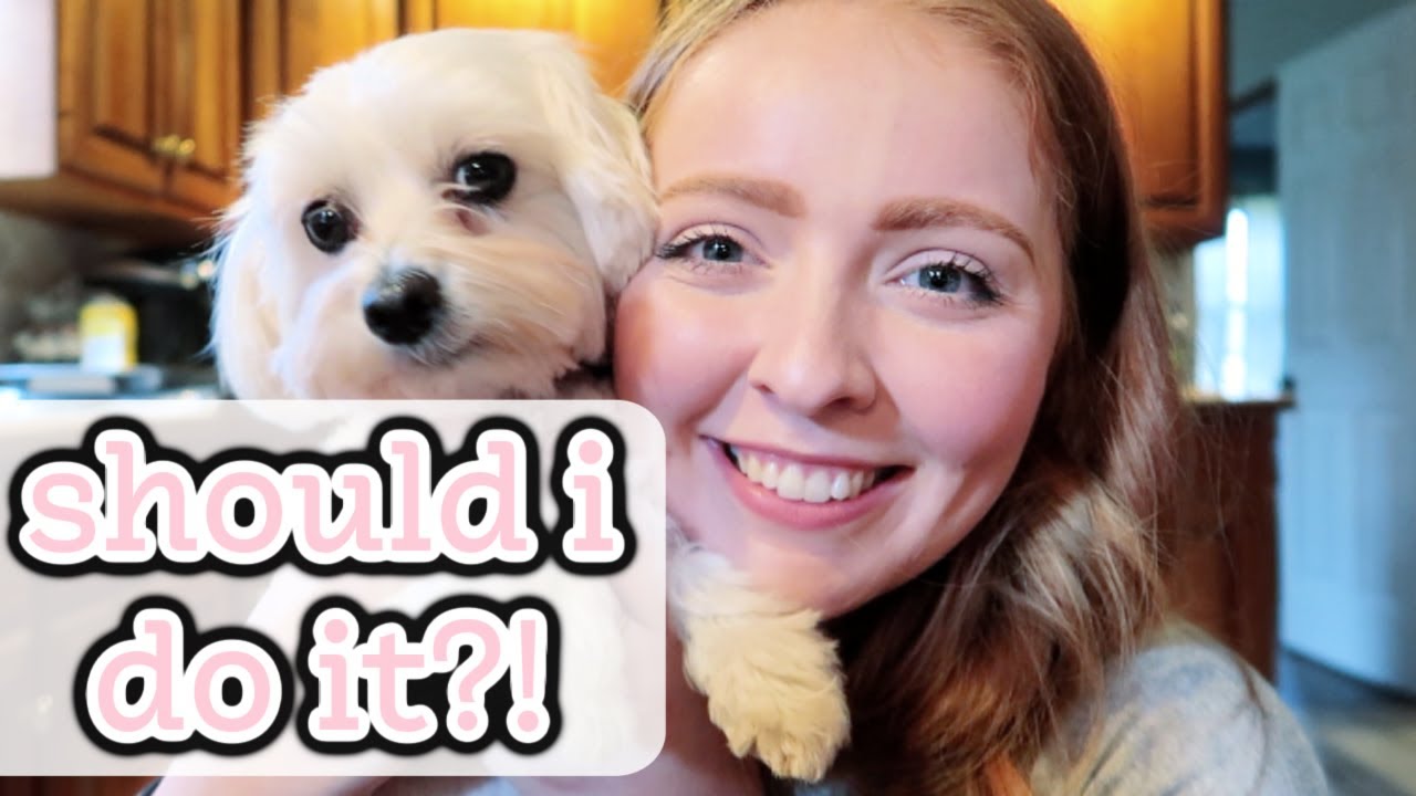 SHOULD I DO IT?! | Daily Vlog | Sarah Hasselberger