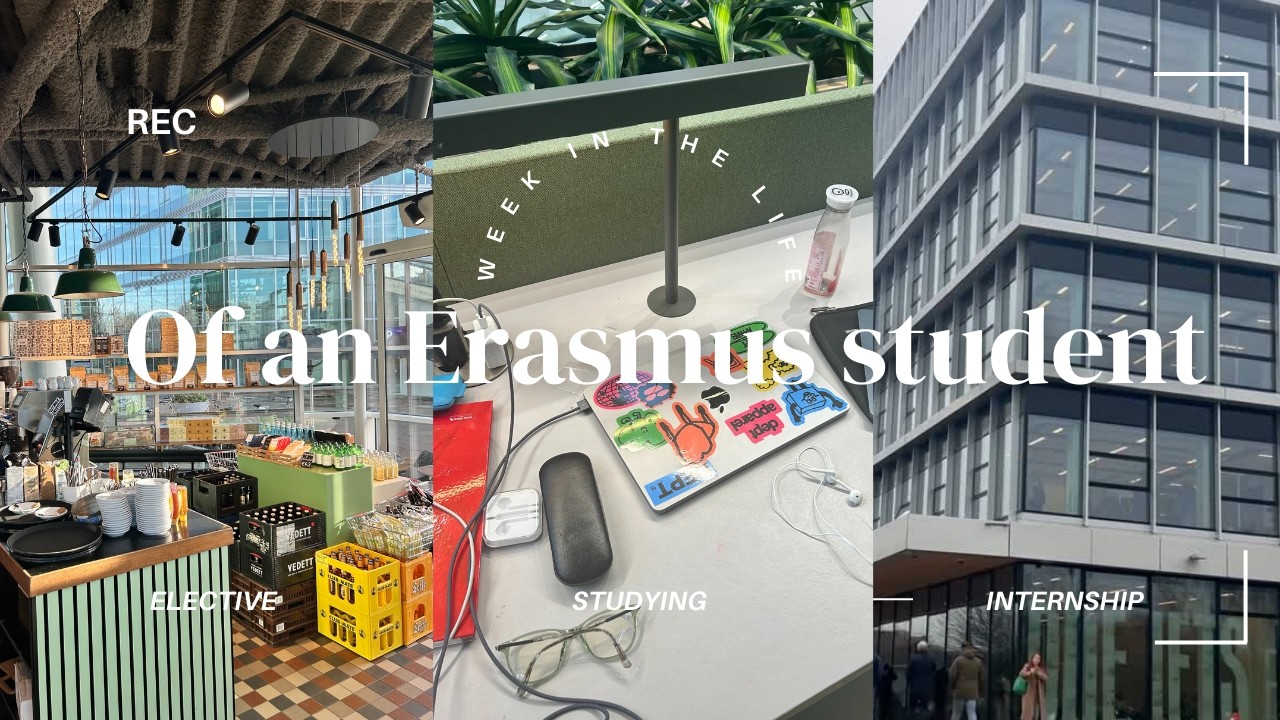 DAY IN MY LIFE as a student | Erasmus Rotterdam University: Electives, Internship and Exam Season
