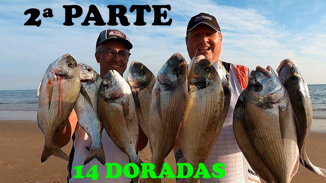 PESCA SURFCASTING JORNADA DE INFARTO CATORCE DORADAS SEGUNDA PARTE