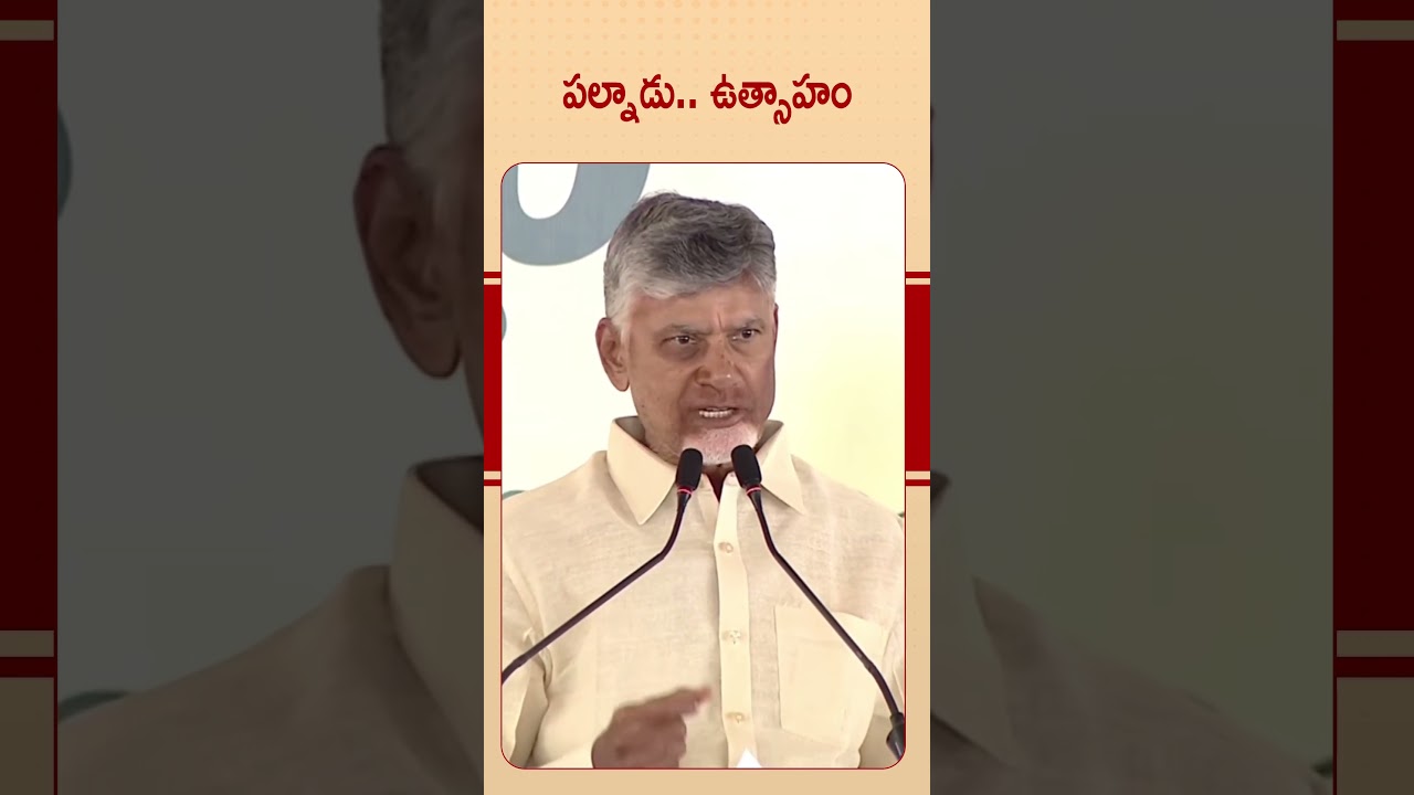 CM Chandrababu Naidu Swachha Andhra Swarna Andhra @ Vinukonda | Palnadu #swachhaandhraswarnaandhra