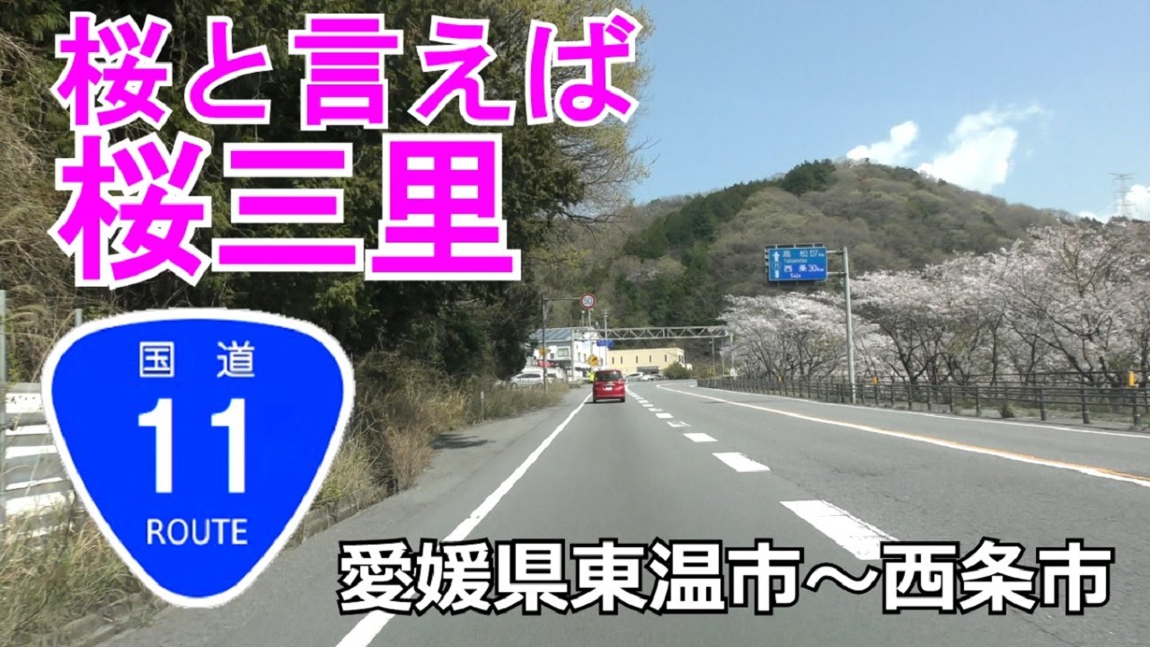 【4K】国道11号桜三里　愛媛県東温市則之内～西条市丹原町来見