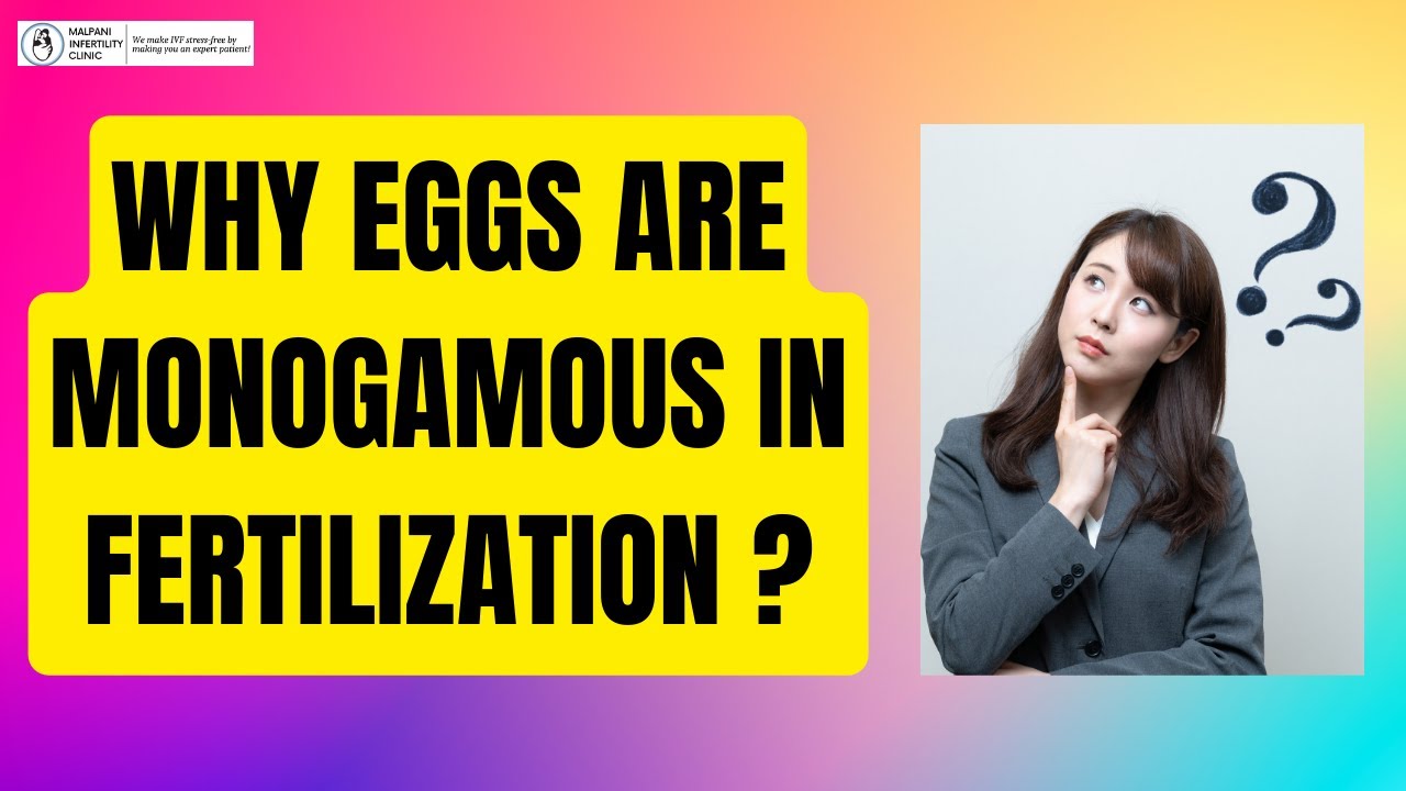 Unlocking the Mystery:  Why Eggs Are Monogamous in Fertilization ?