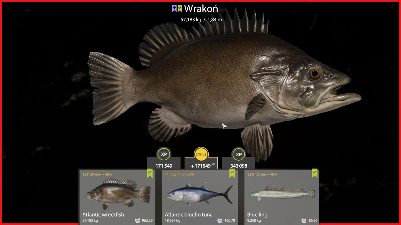 Atlantic wreckfish Wrakoń Norwegian Sea | Russian Fishing 4  #mjplay