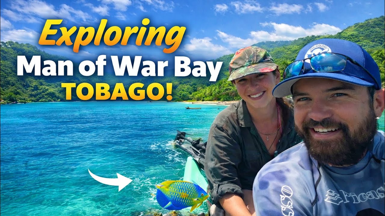 🇹🇹 Man of War Bay, Tobago COASSIN