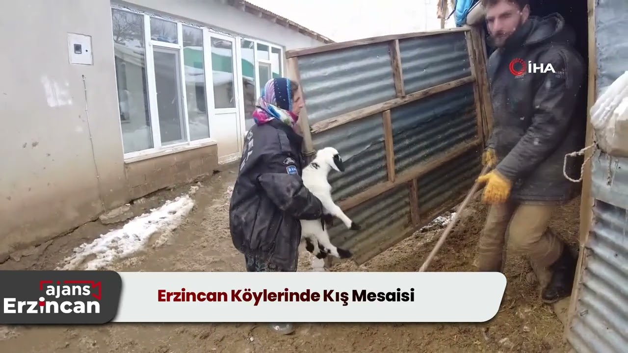 Erzincan Köylerinde Kış Mesaisi