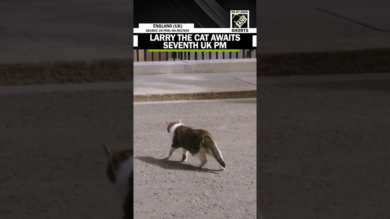 Chief Mouser to the Cabinet Office, Larry the cat, outlasts 6 British PMs & awaits the seventh UK PM