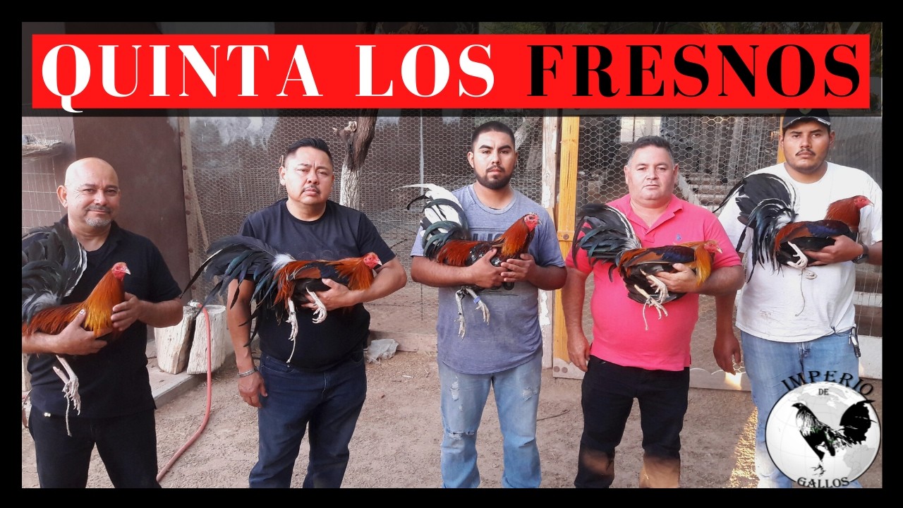 CRIADERO QUINTA LOS FRESNOS, MÁS DE 2 MIL AVES FINAS POR TEMPORADA | ISIDRO RUEDA.
